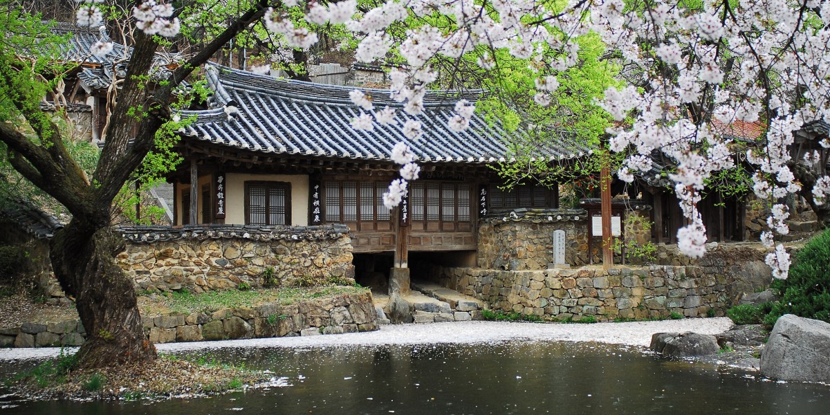 dove è stato girato squid game