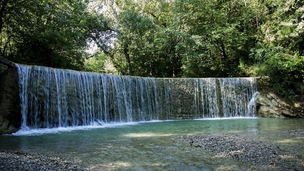 bosco di san francesco