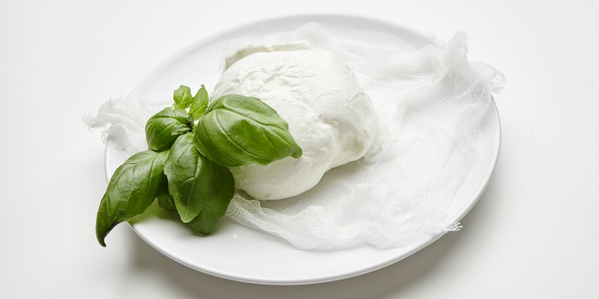 festa della mozzarella gioia del colle 