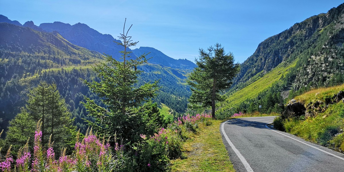 What to do in Piedmont