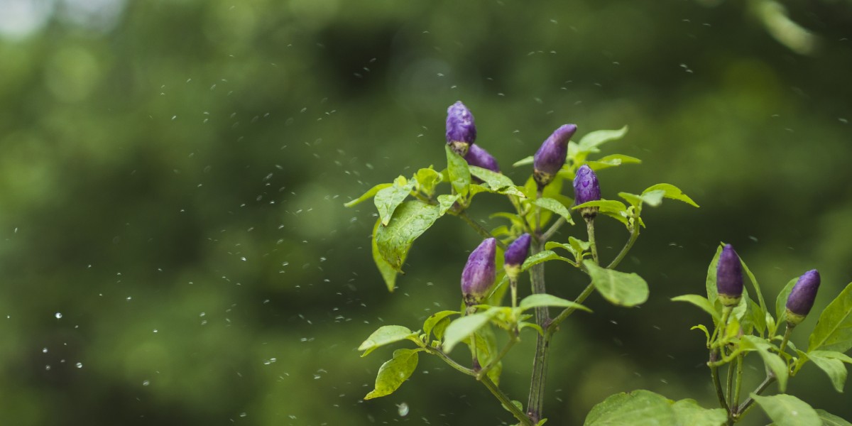 sistema di raffreddamento a nebulizzazione