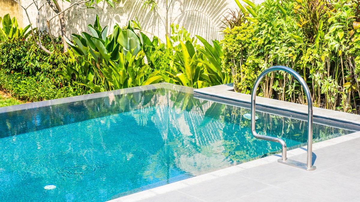 piante bordo piscina