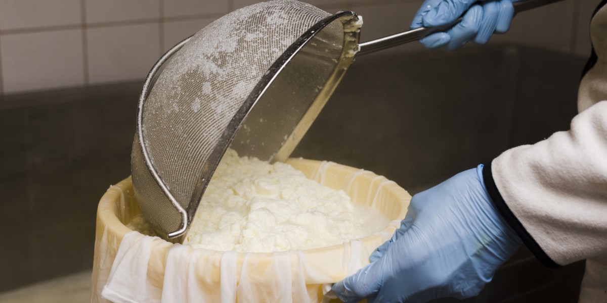 festa della mozzarella gioia del colle 