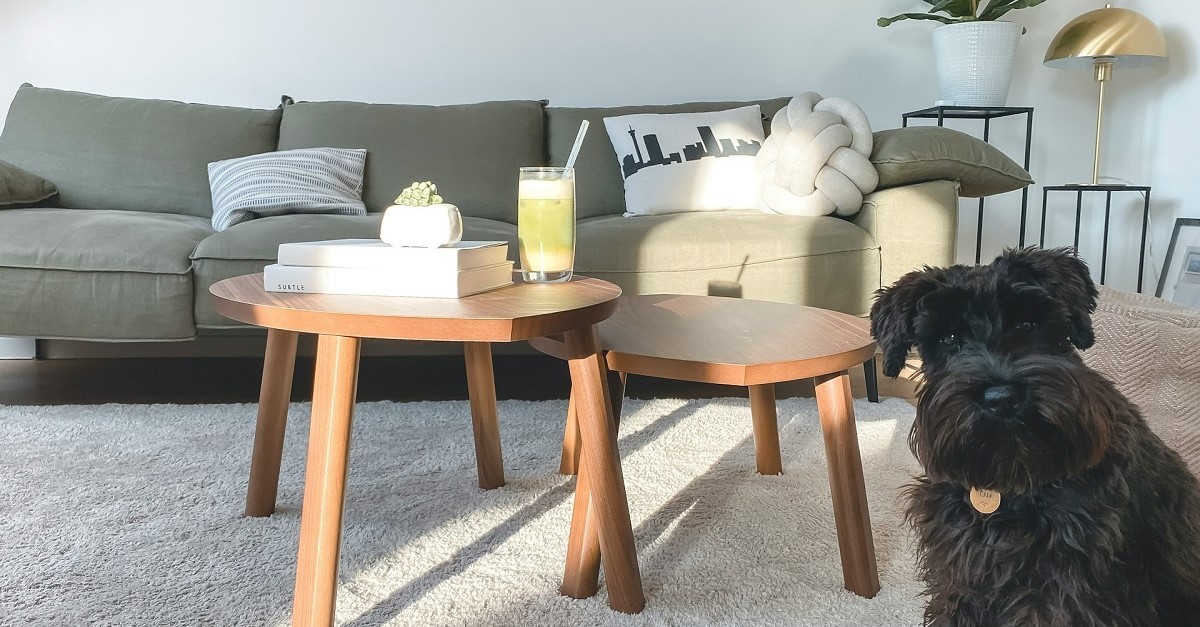 Un soggiorno con moquette