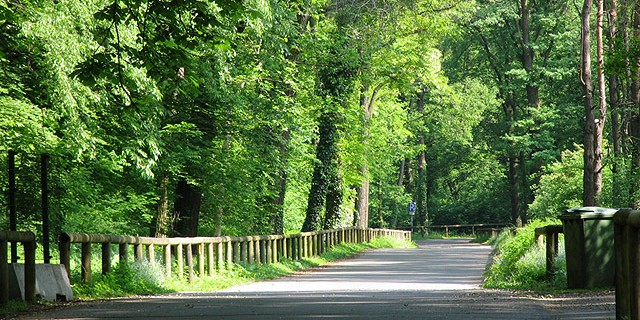 Living in Monza