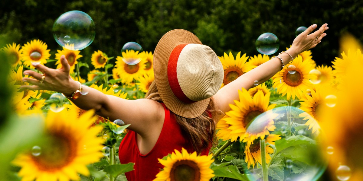 campi di girasole