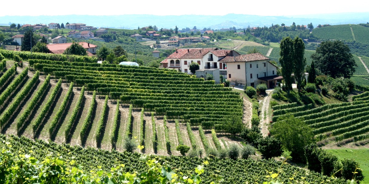 Living in Piedmont Italy