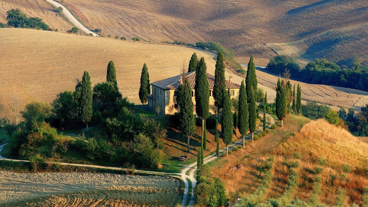 piante antirumore balcone
