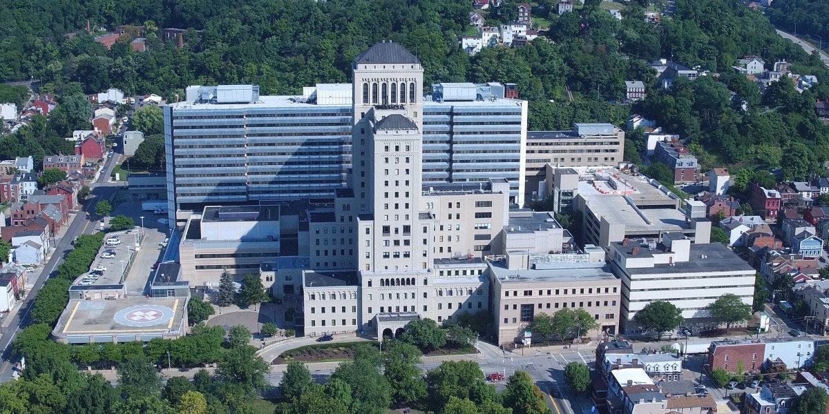 Dove è stata girata the Pitt