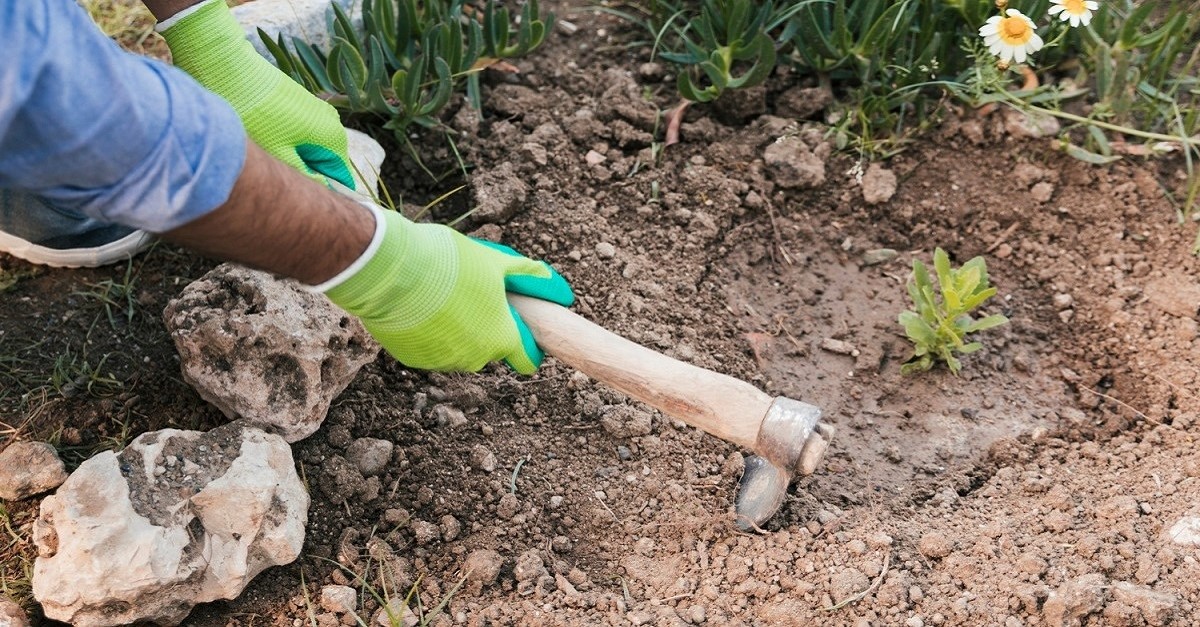 Prima di stendere il telo per la pacciamatura è importante lavorare il terreno con una vanga