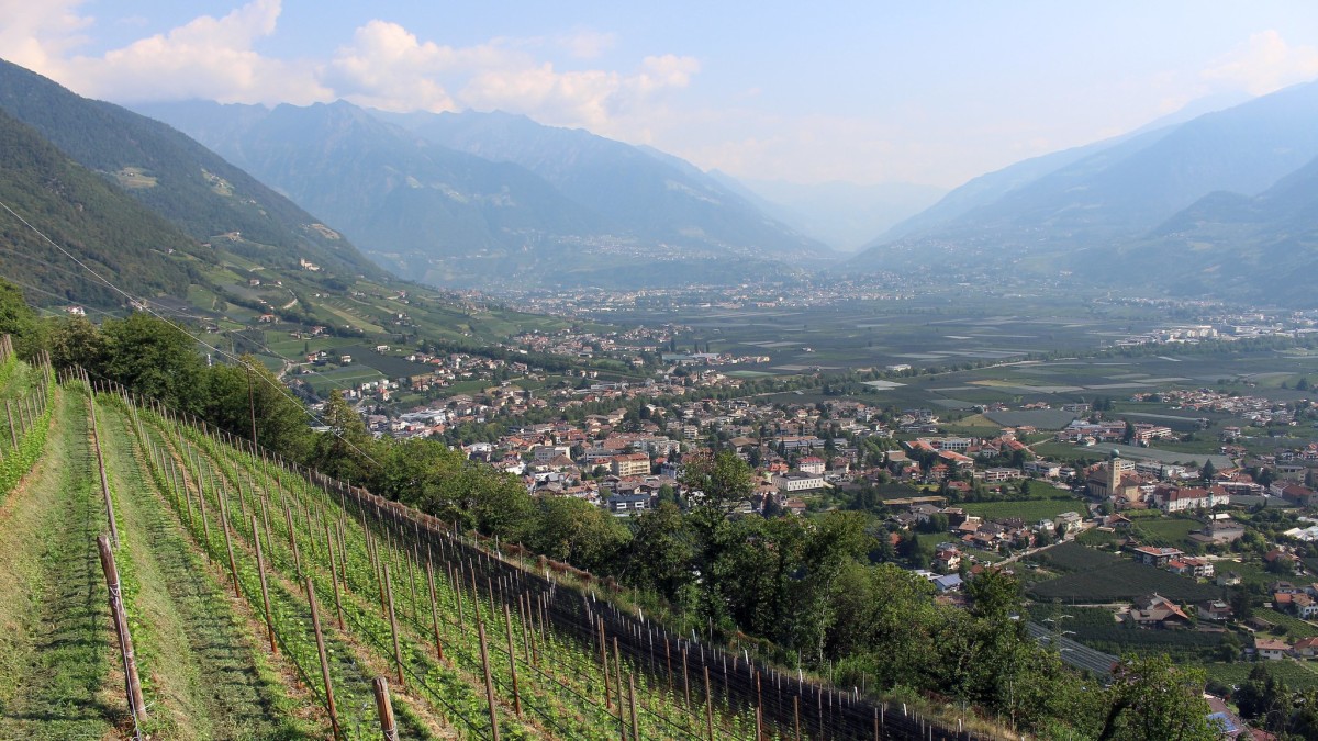 Südtiroler Weinstraße