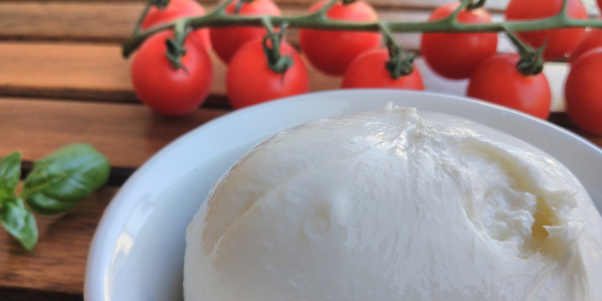 Best Italian cheeses to try