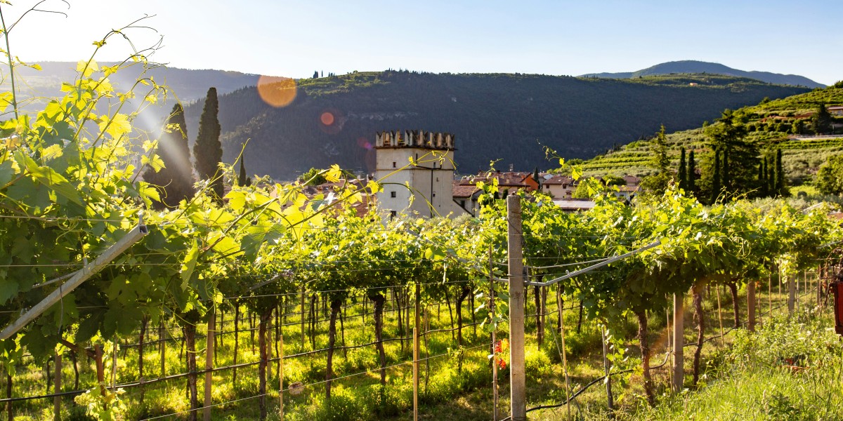 Non-touristy things to do in Verona