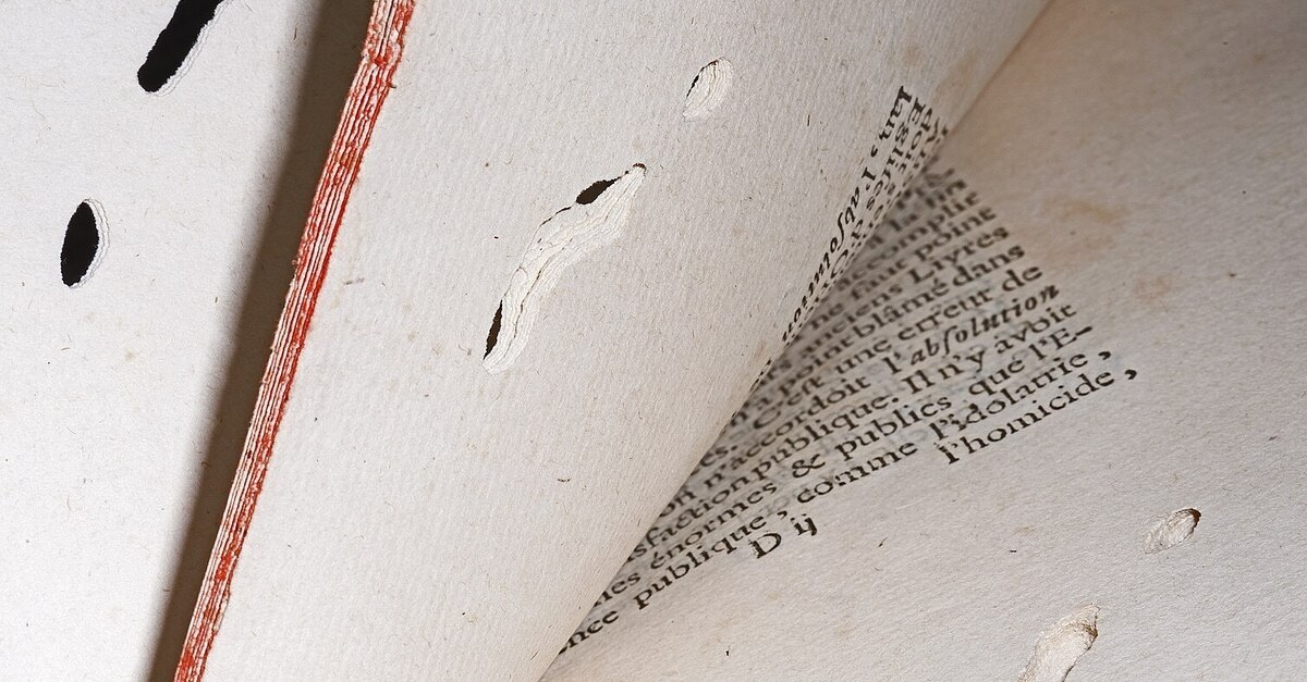 danni prodotti dall'anobio del pane