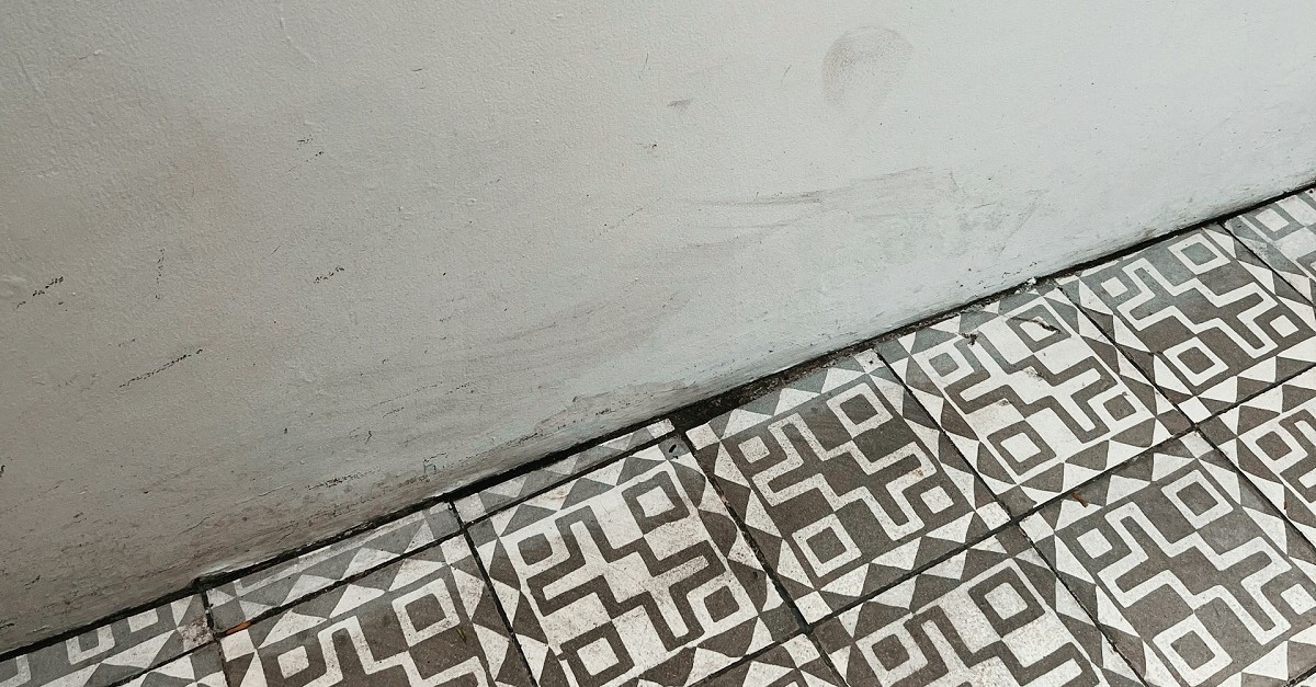 Pavimento e parete con muffa