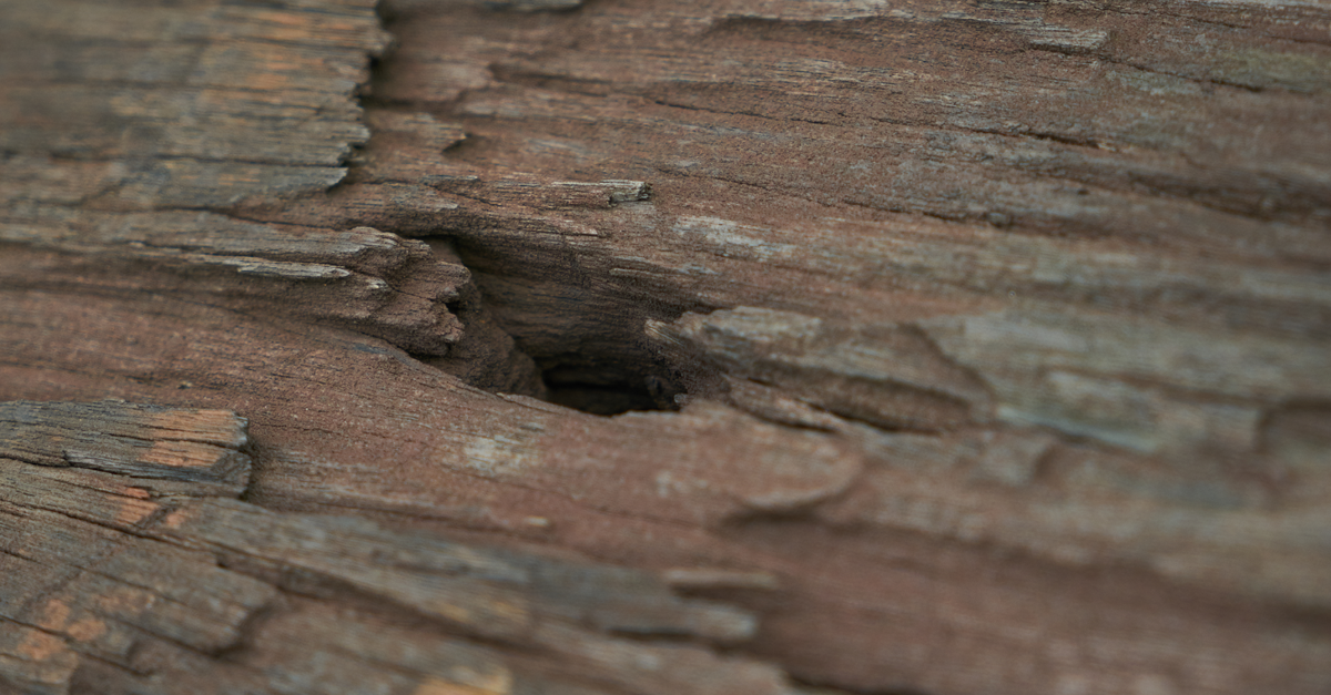 un buco nel legno