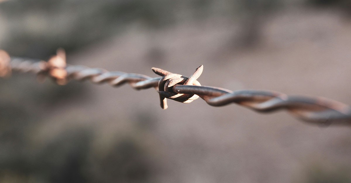 Dettaglio del filo spinato