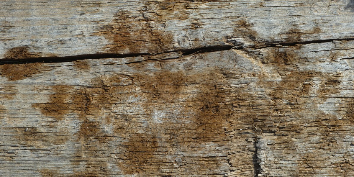 come togliere la muffa dal legno 