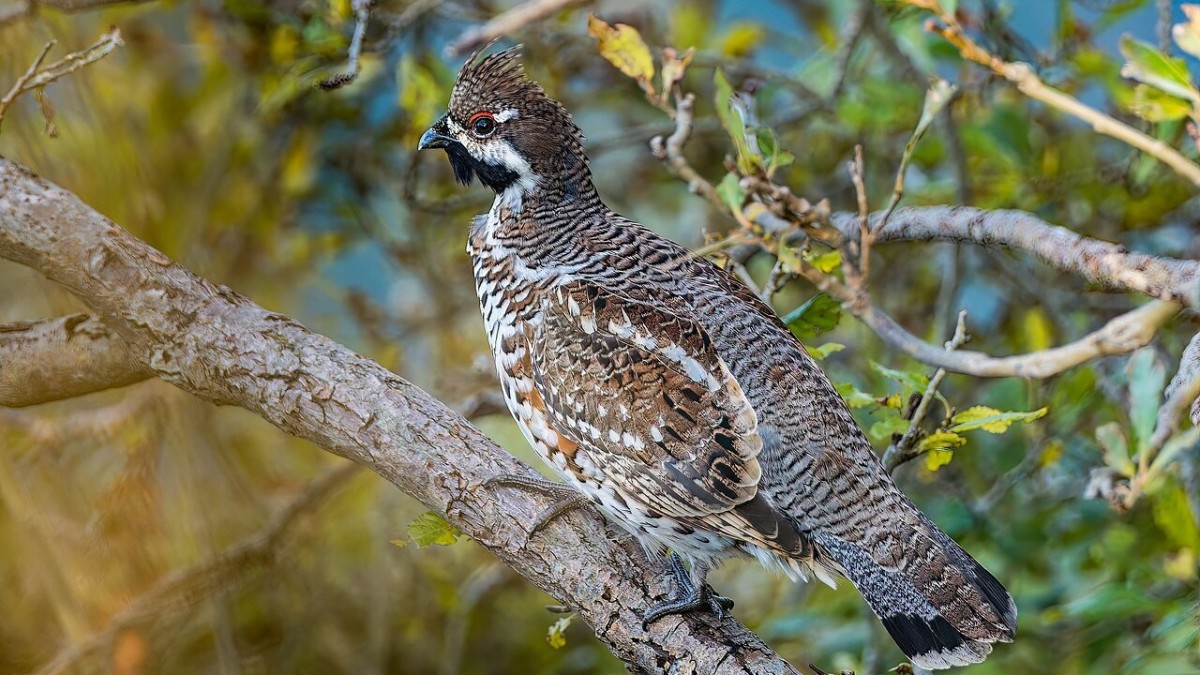 parco d'orleans palermo