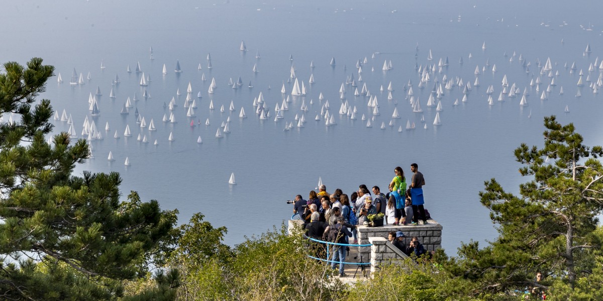 Barcolana 2025 spectator 