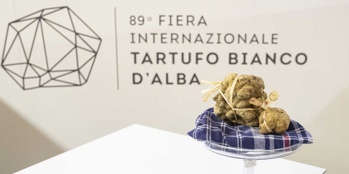 fiera del tartufo alba
