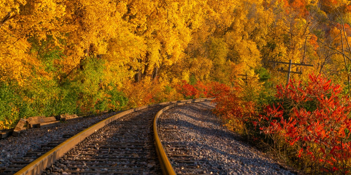 treno del foliage 2025 