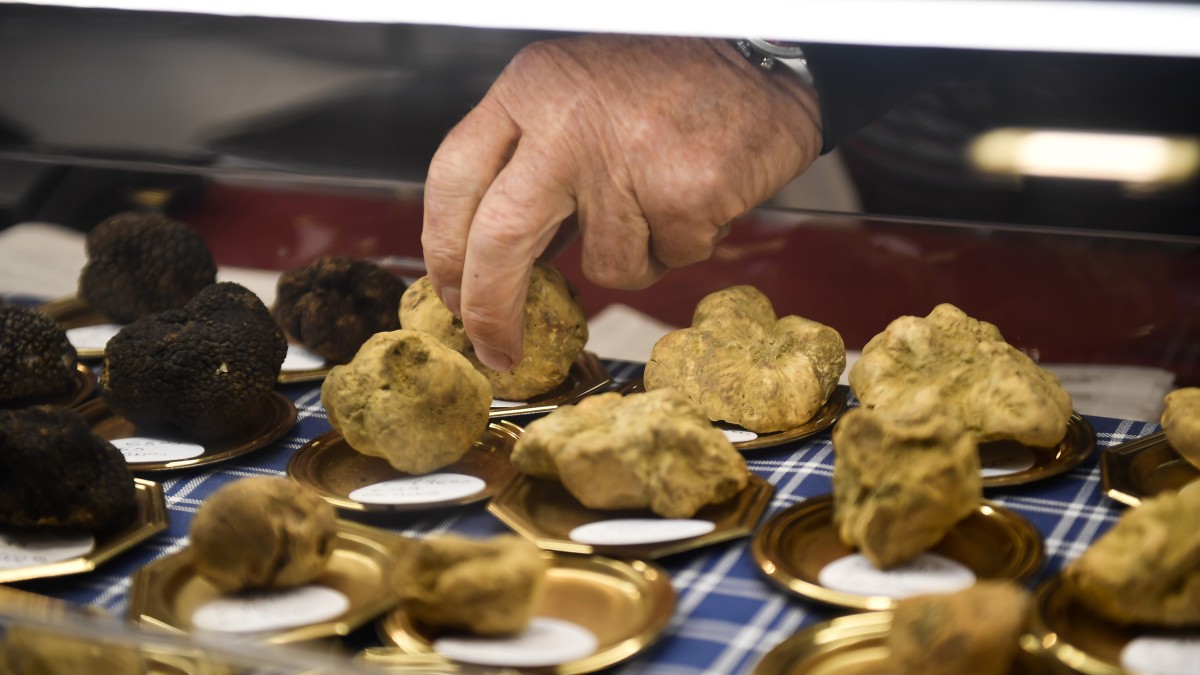 cosa fare in italia a ottobre 2025