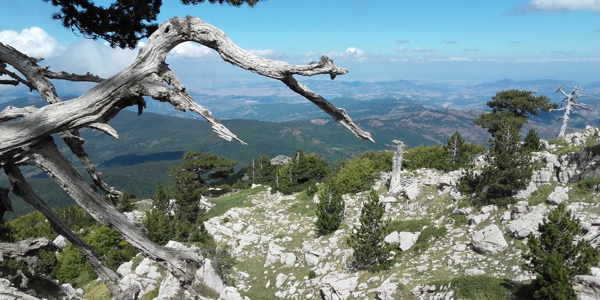 Things to do in Latronico