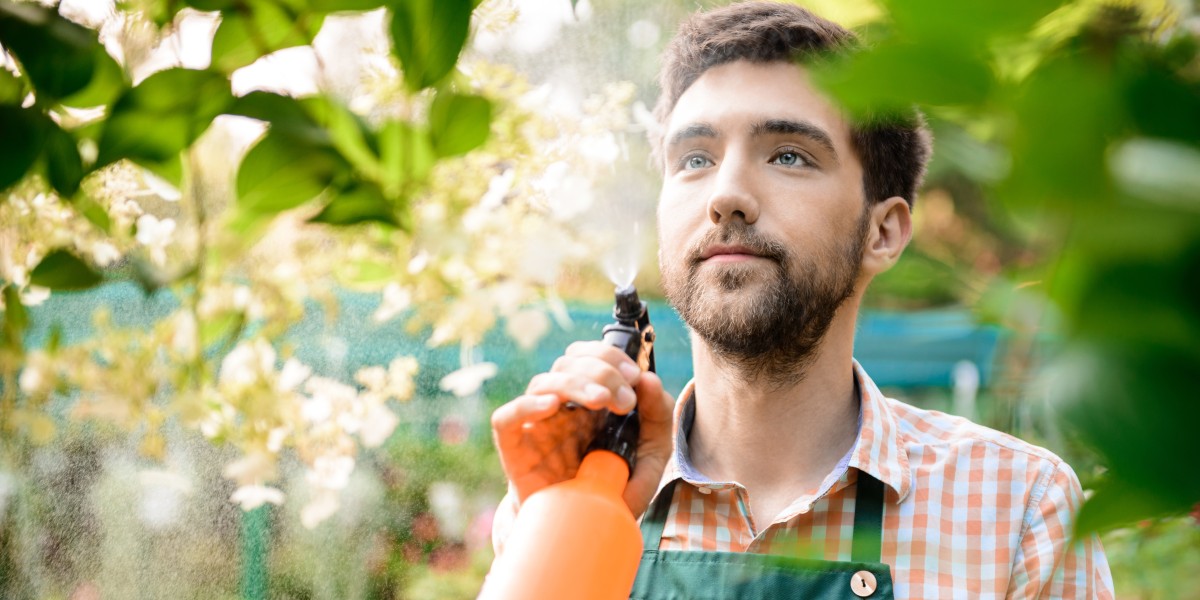 porcellini di terra in casa
