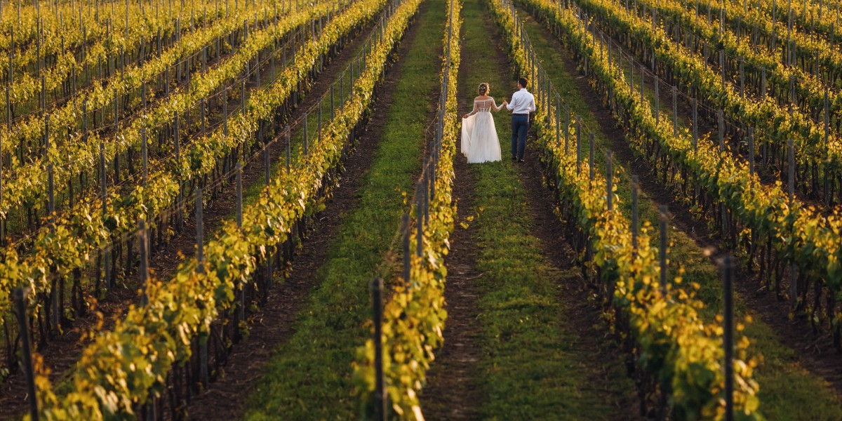 Cammino delle Colline del Prosecco