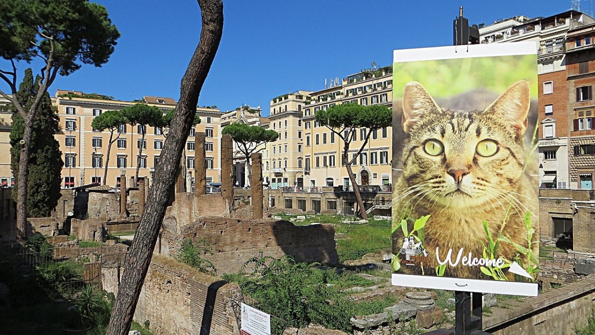 largo di torre argentina