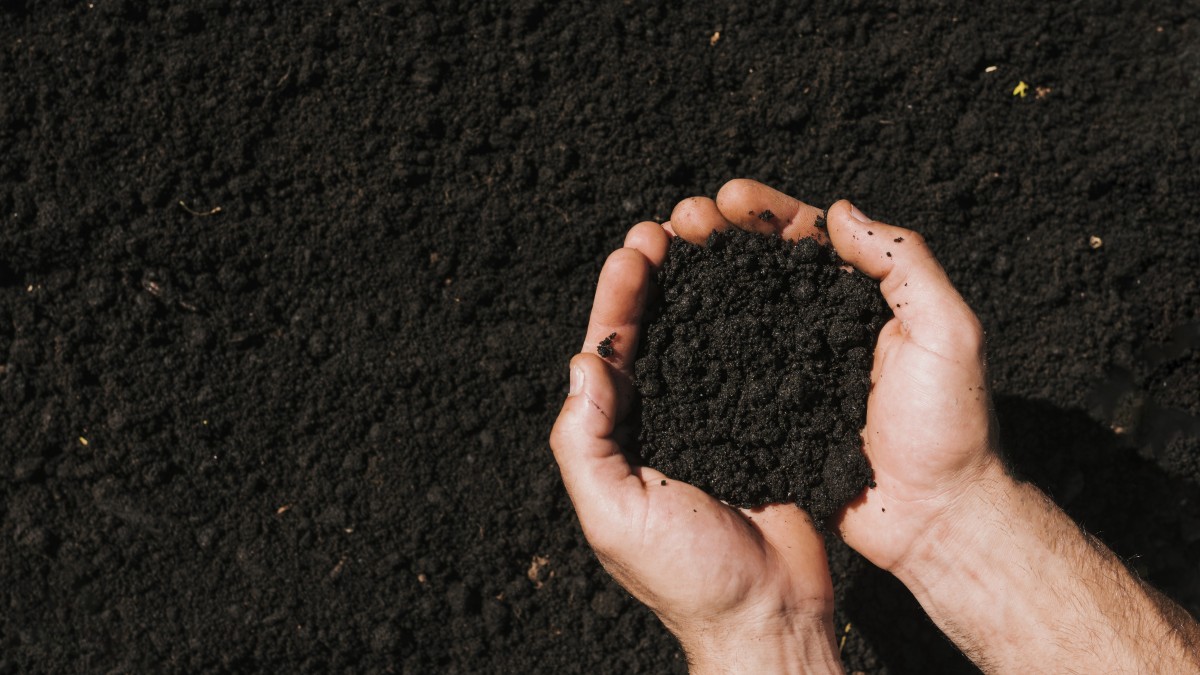 terriccio universale