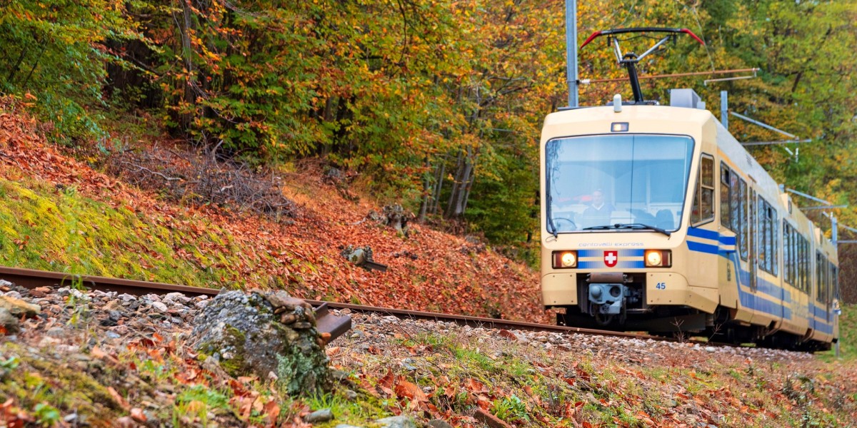 treno del foliage 2025 