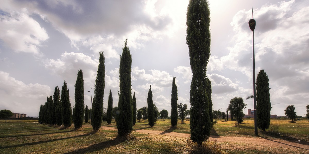 Hidden neighbourhoods Rome