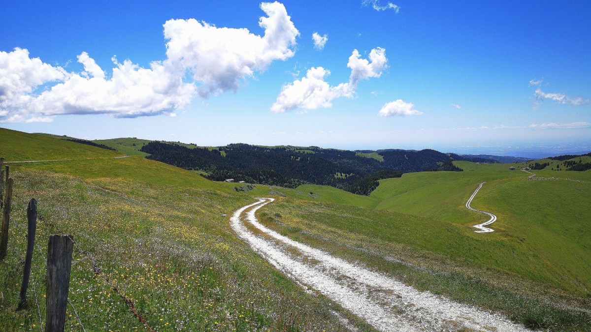 cosa vedere in lessinia