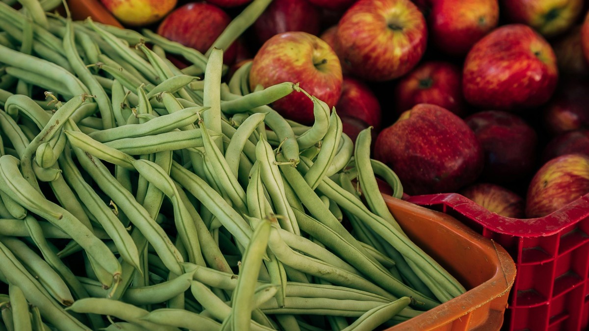 come piantare i fagioli