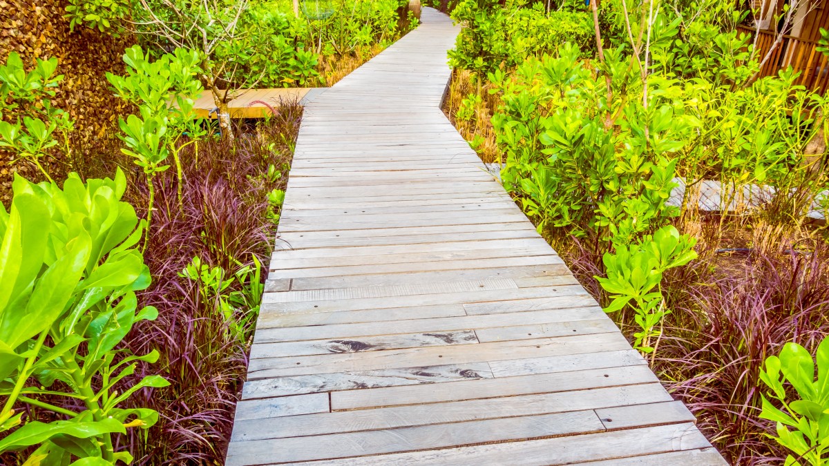 vialetto fai da te in giardino