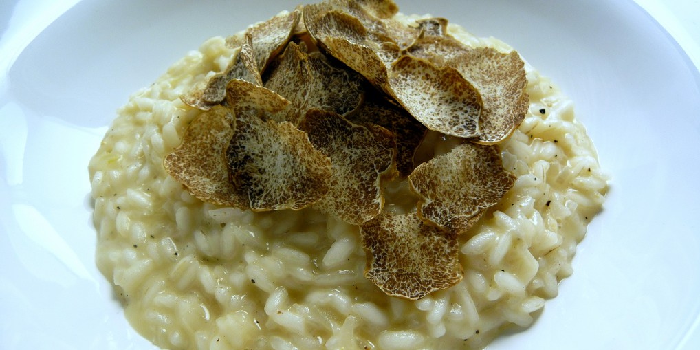 fiera del tartufo alba