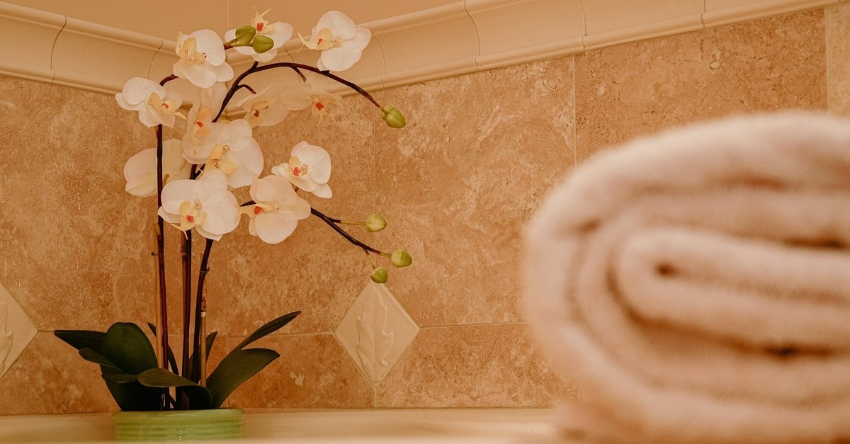 Le orchidee sono tra le piante più vulnerabili agli attacchi dei moscerini dei funghi, soprattutto in ambienti umidi