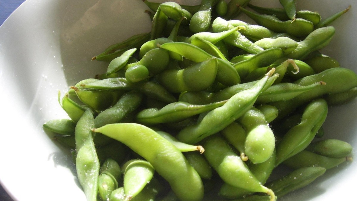 come piantare i fagioli