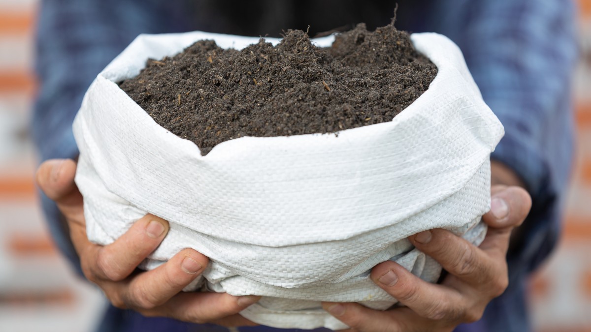 terriccio universale