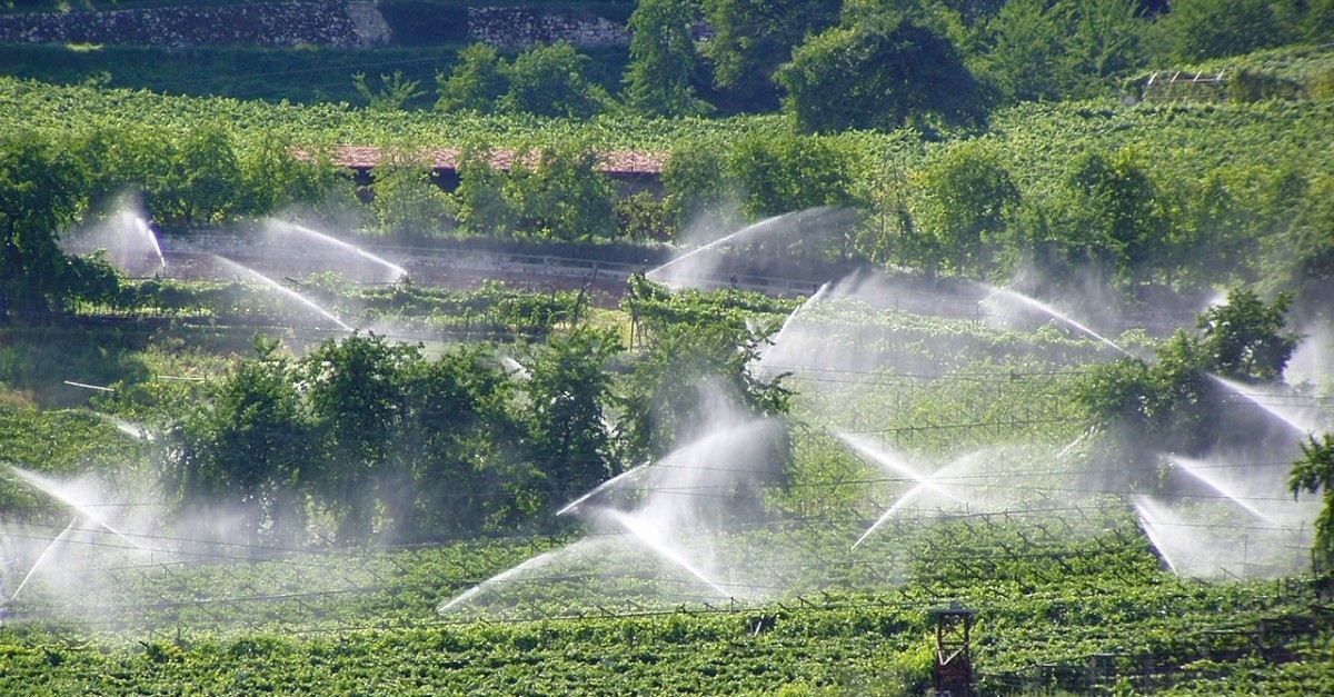 Un esempio di irrigazione a pioggia in un vigneto del Trentino