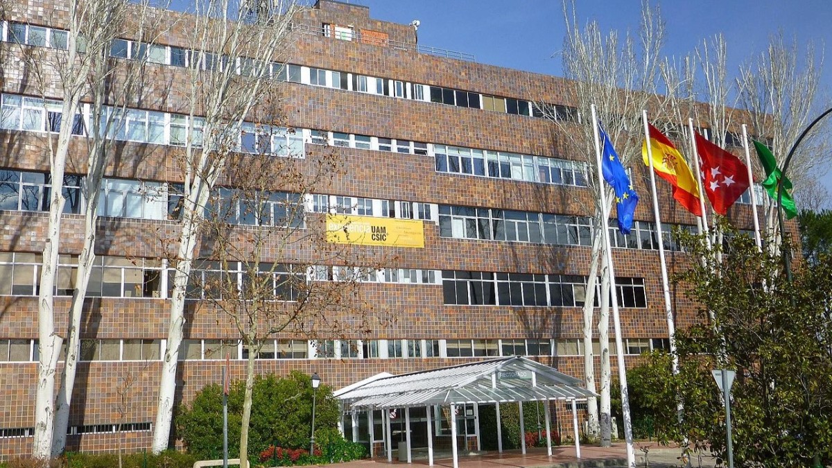 università di madrid