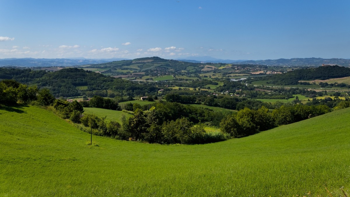 vini tipici marchigiani