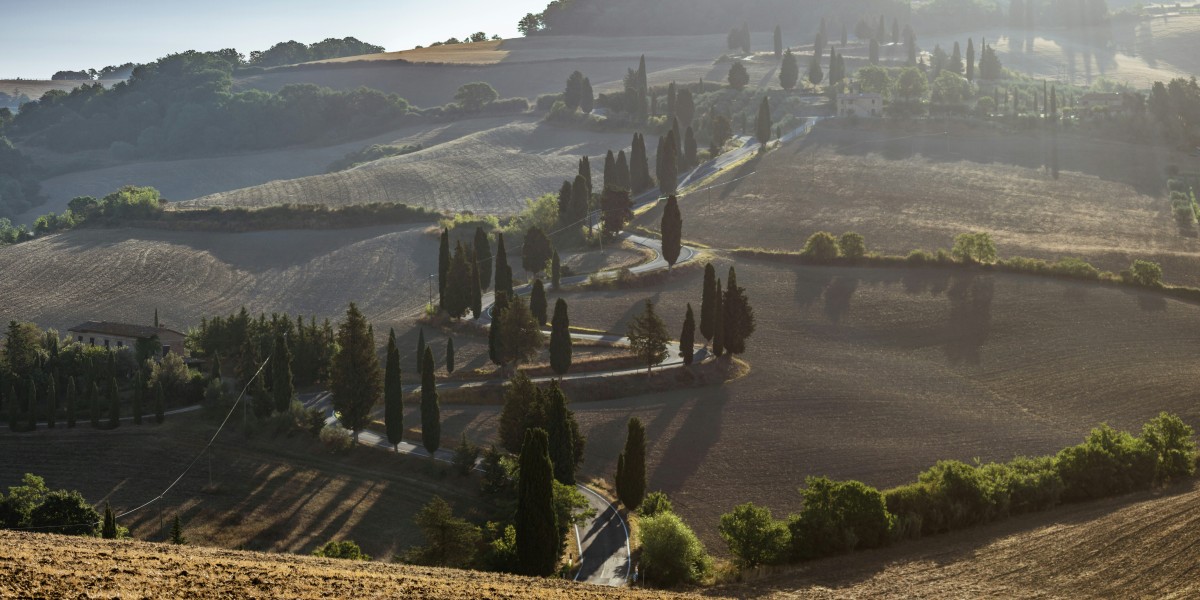 European Green Award winners