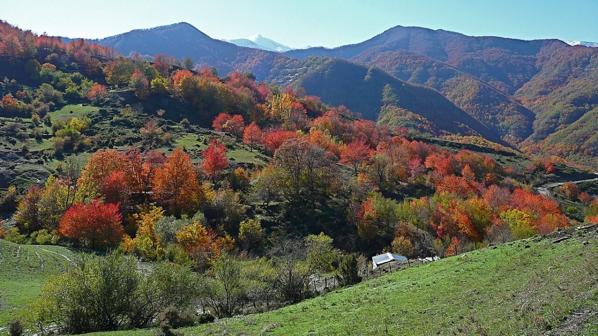 dove vedere il foliage in abruzzo