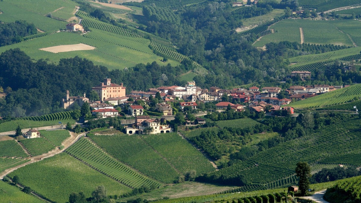 cosa vedere a barolo