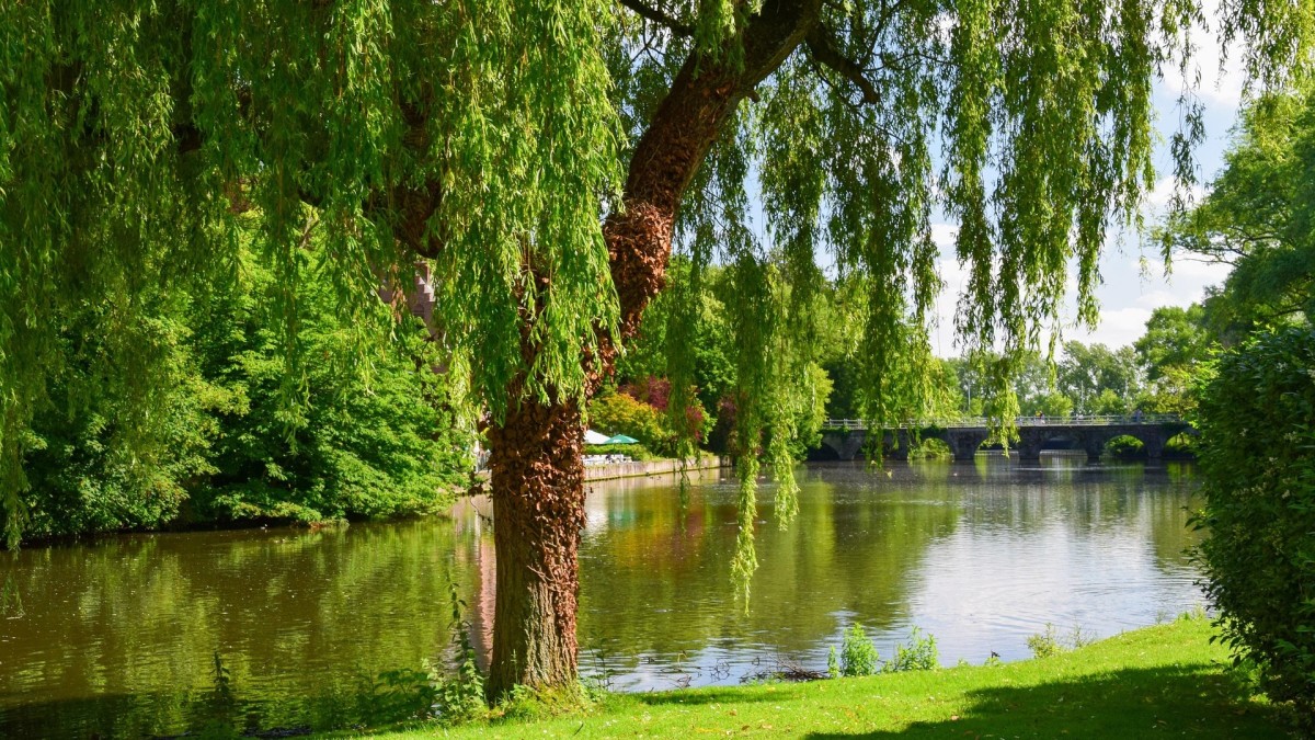 bruges cosa vedere