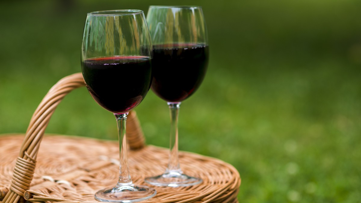 strada del vino dei colli euganei