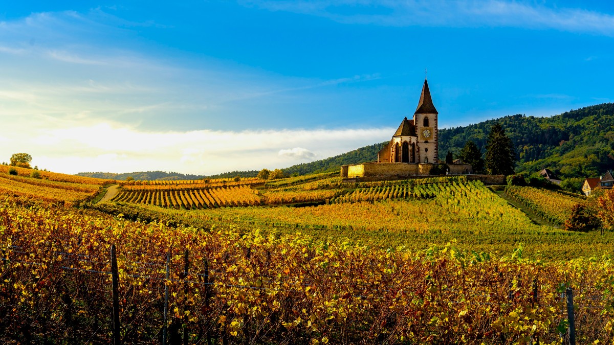 strada del vino d'alsazia
